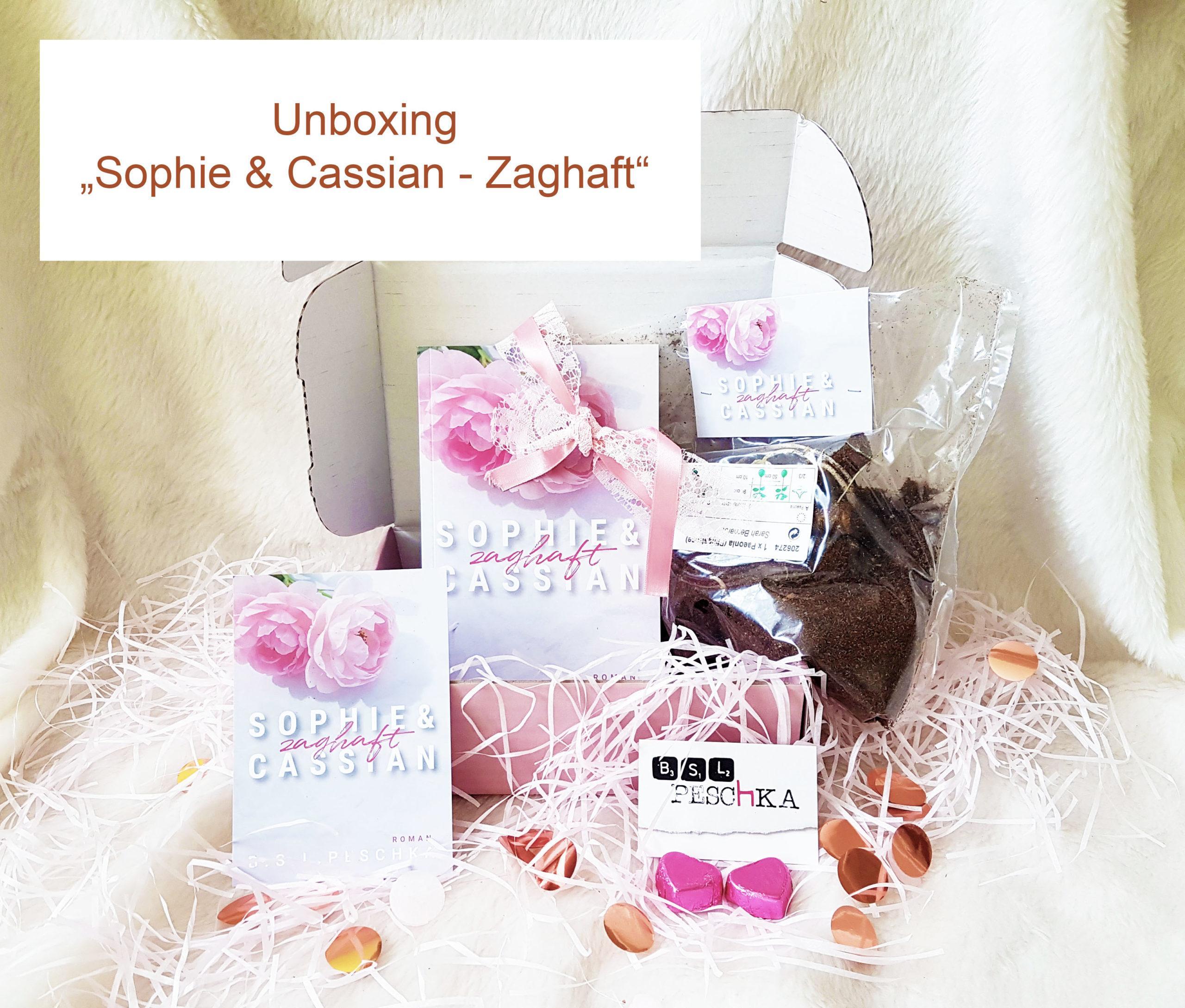 [Unpacking] Bloggerbox Sophie & Cassian - Zaghaft